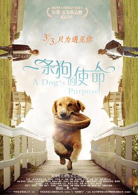 8mav在线